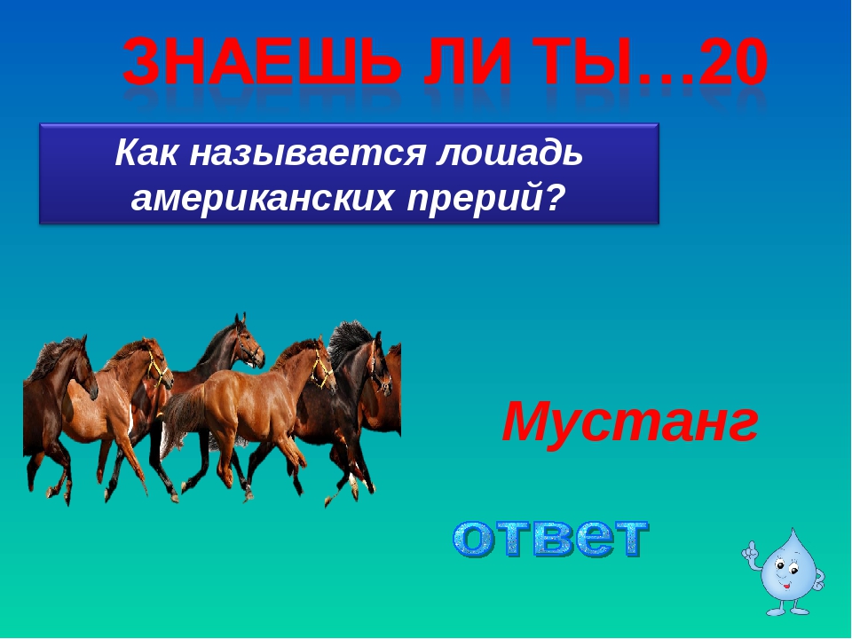 Клички животных лошадь. Клички лошадей. Как зовут коня. Название лошадей пророка мух1аммада.