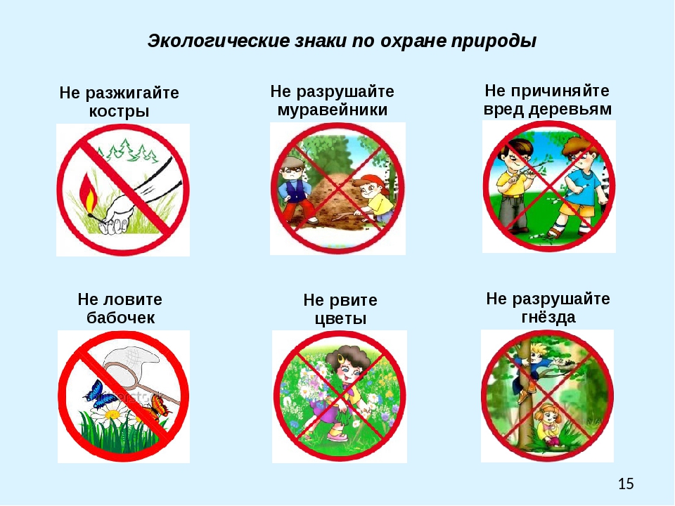 В воде и в лесу окружающий мир 2 класс презентация