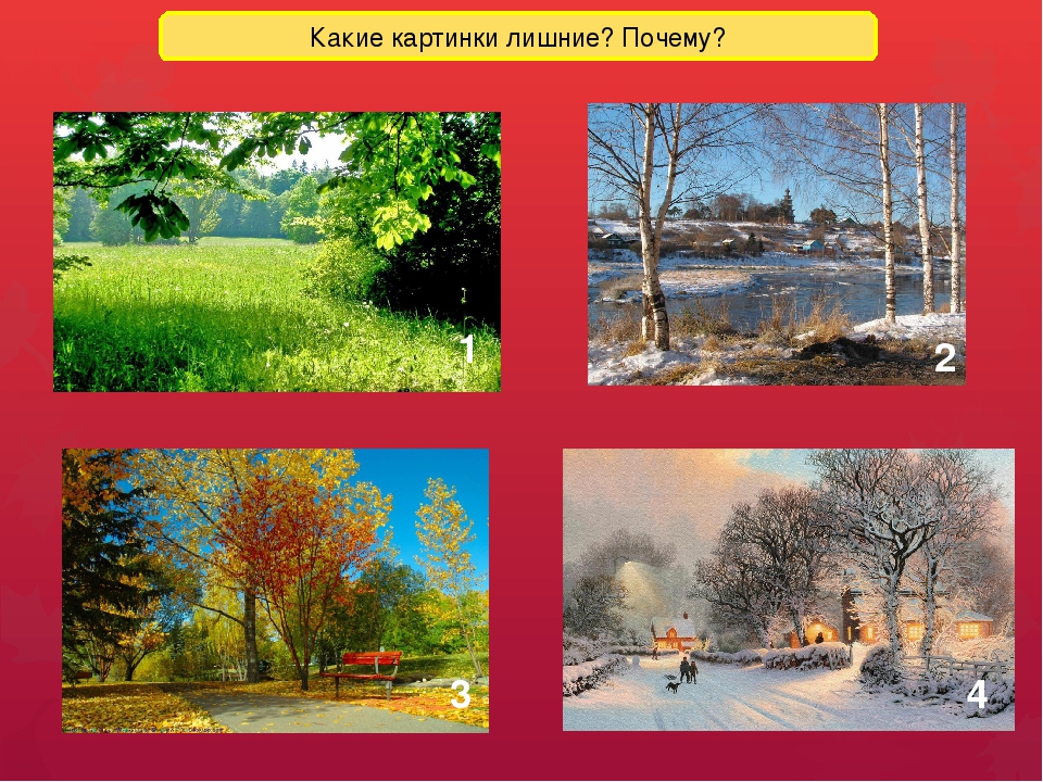 Времена года осень презентация. Ранняя и поздняя осень. Презентация осень для дошкольников. Презентация на тему поздняя осень. Ранняя Золотая поздняя осень.