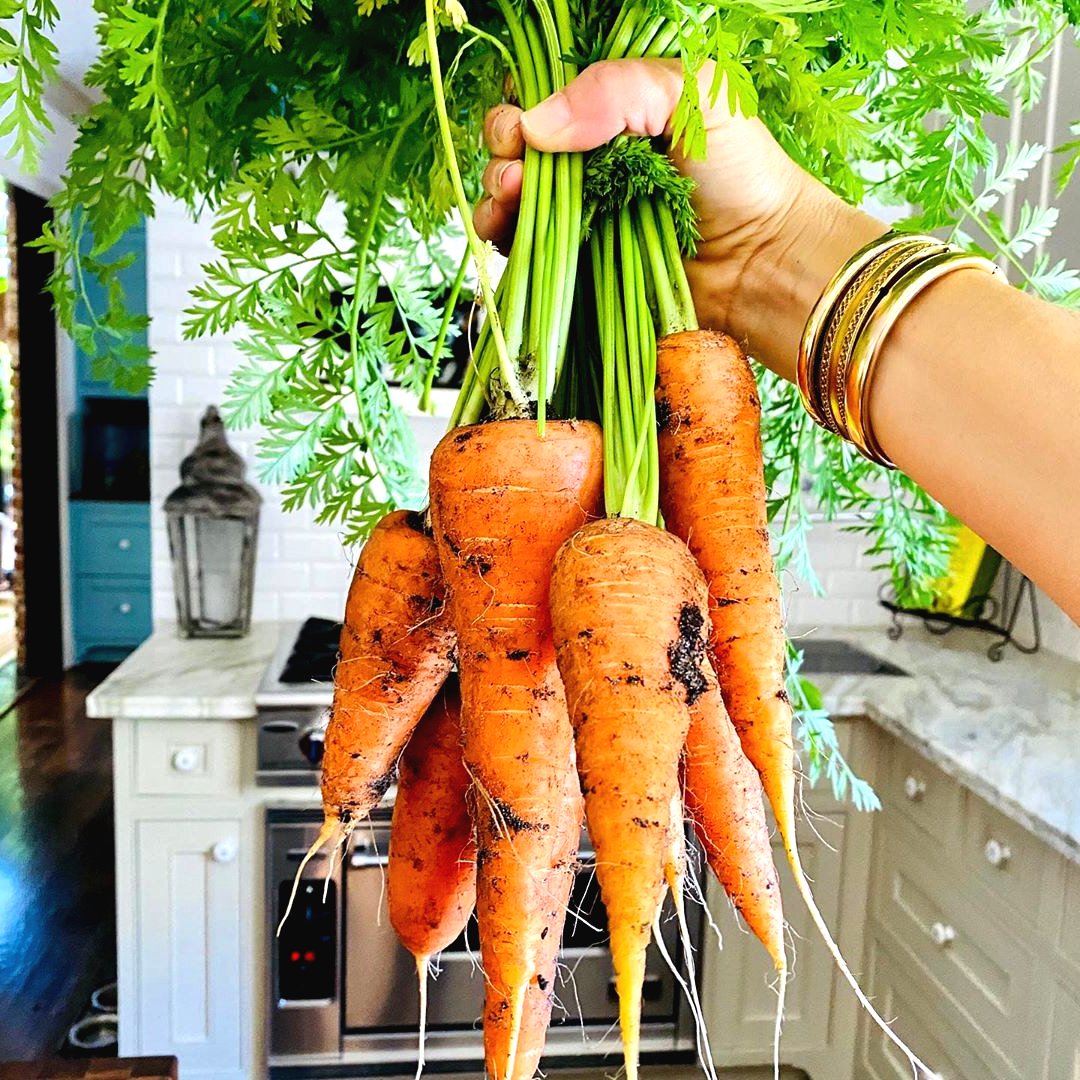 Сколько растет морковь. Морковь на грядке. Морковка растет. Морковная грядка. Морковь растет на грядке.