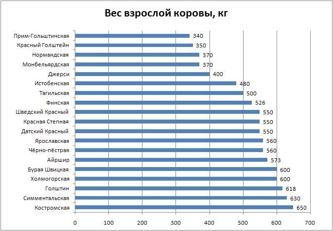 Вес коровы в зависимости от породы