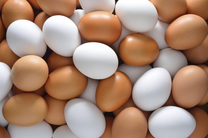 Наибольшее количество яиц несут куры пород яичного направления