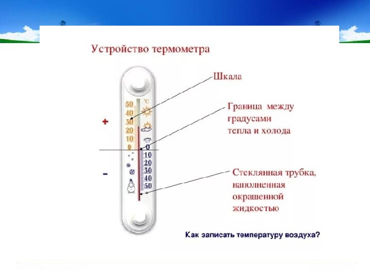 Как сделать температуру показывала. Термометр температуры тела схема измерения. Как правильно ставить термометр для измерения температуры. Из чего состоит термометр для измерения температуры тела. Термометр ртутный правильная шкала.