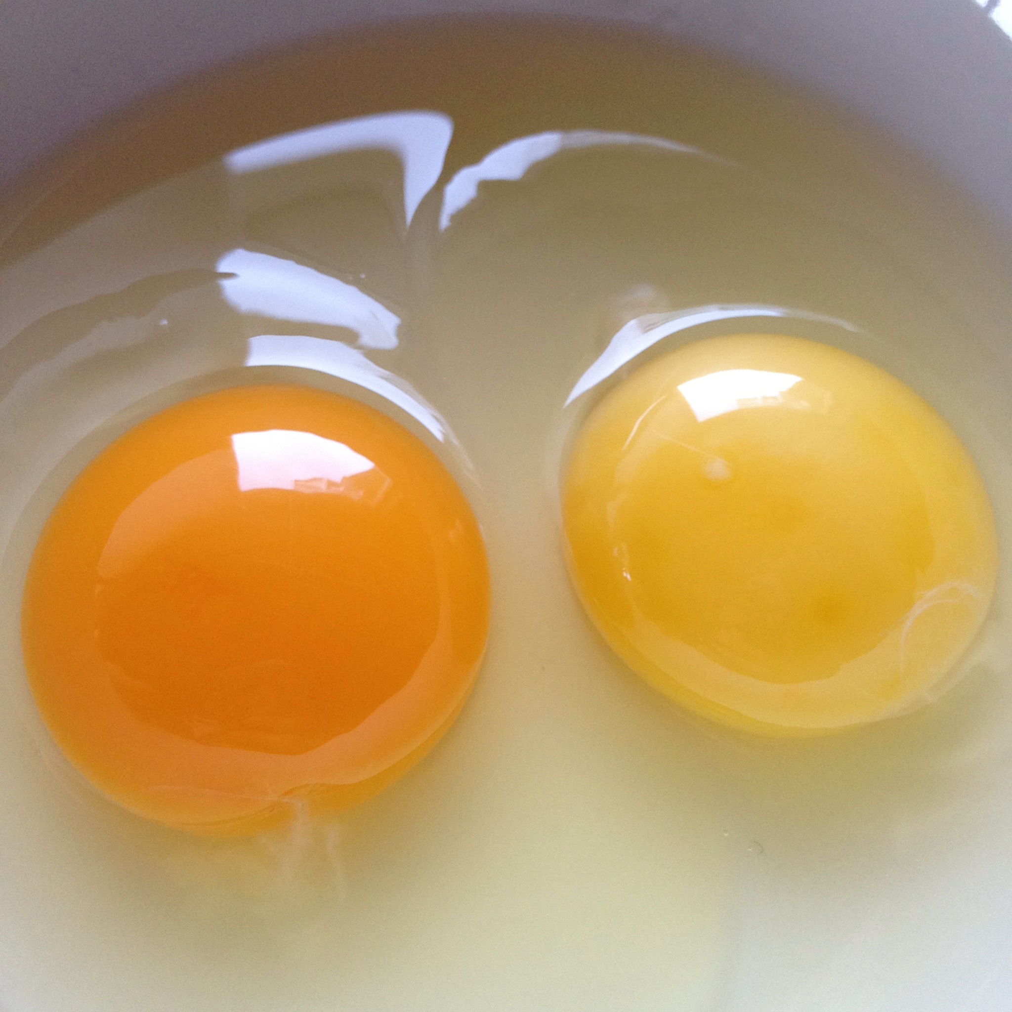 The strongest egg yolk. Куриный желток. Испорченное яйцо куриное. Желток яйца.