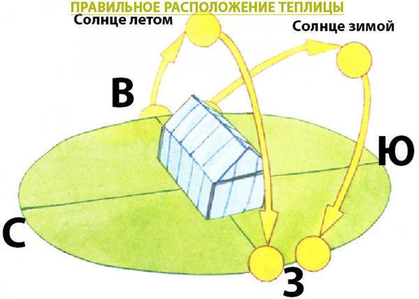 Расположение теплицы по сторонам света