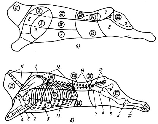 Обозначьте цифрами части говяжьей туши в соответствии с рисунком