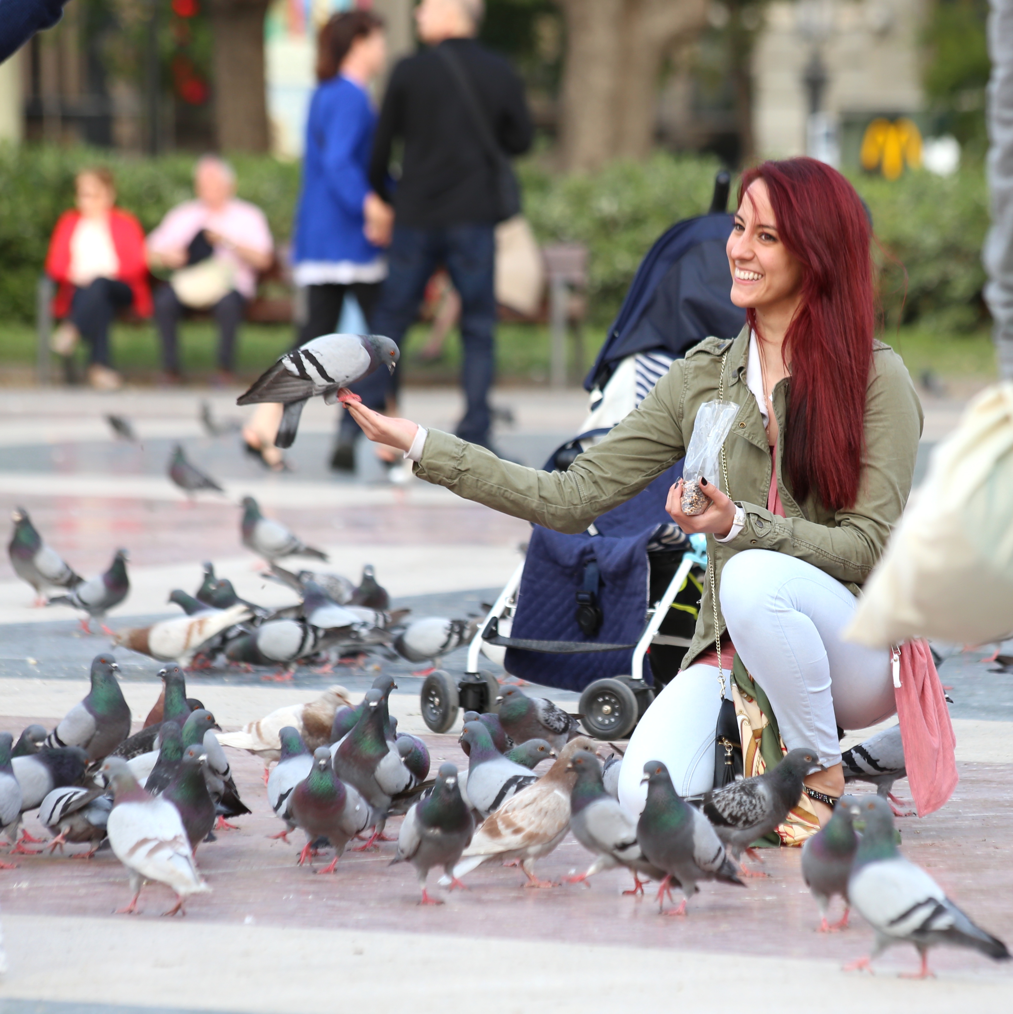 голуби в парке