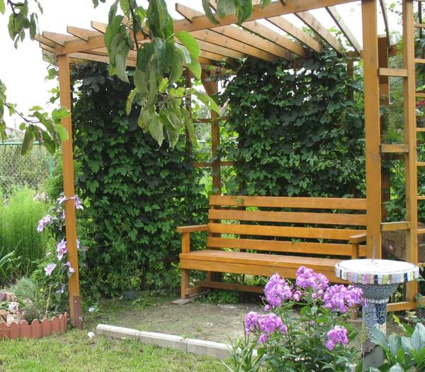 Садовая скамейка с перголой. Фото с сайта 5sad.ru