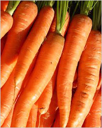 Морковь на зиму
