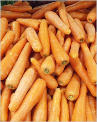 Морковь на зиму