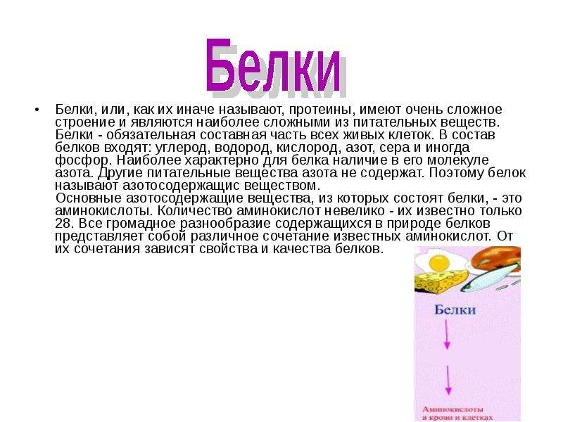 Белки конспект. Доклад на тему белок. Белки сообщение по биологии. Белки состоят из. Из чего состоит белок.