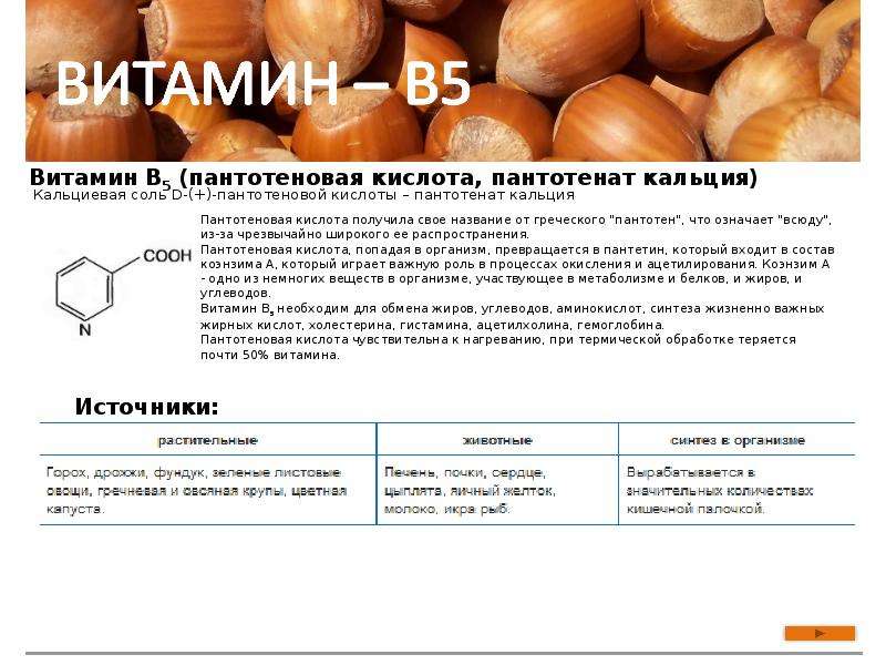 Функция витаминов в обмене веществ. Роль в обмене веществ витамина в2. Роль витаминов в метаболизме. Участие витаминов в метаболизме. Витамины их значение в обмене веществ.