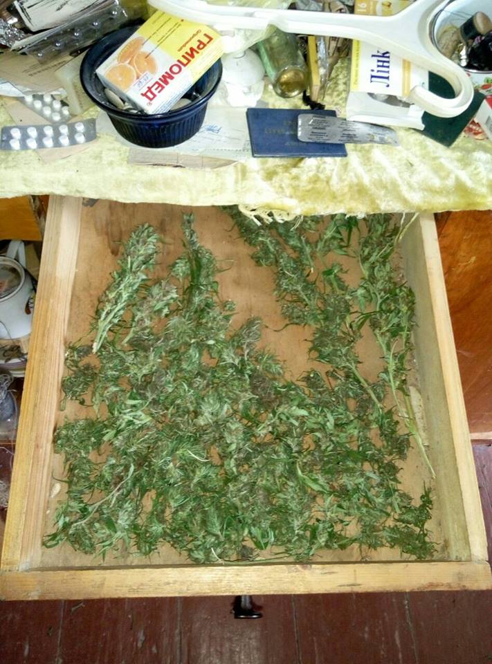 Як сушить коноплю марихуана ремикс линда