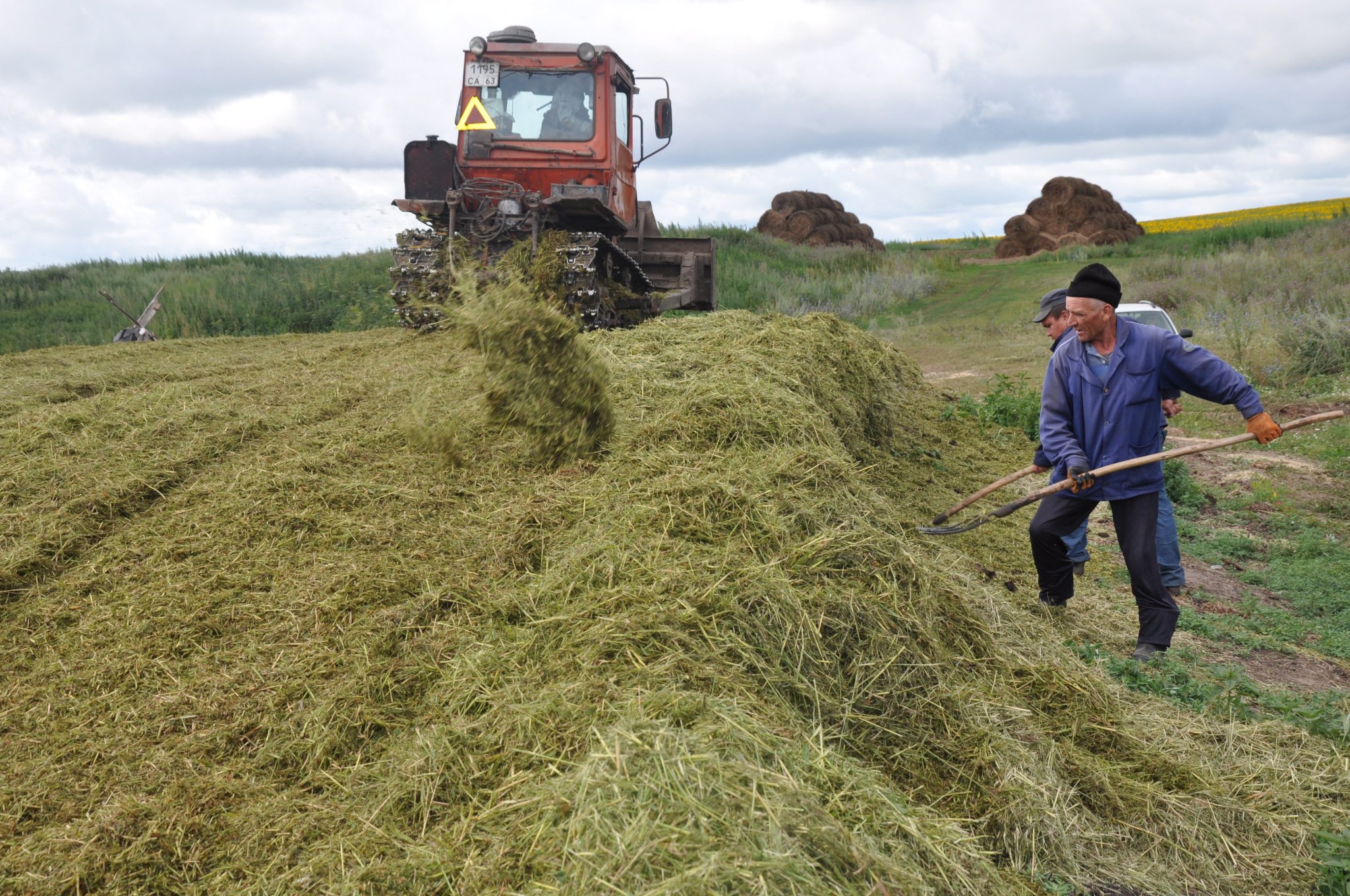 Сено кемеровская область. Заготовка кормов для животноводства. Заготовка сена. Заготовка рассыпного сена. Сено сенаж.