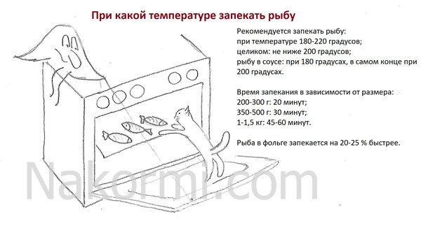 Рыба в духовке сколько по времени. При какой температуре запекать рыбу. Температура запекания рыбы. При какой температуре запекать рыбу в духовке и сколько. Сколько по времени запекать рыбу в духовке.