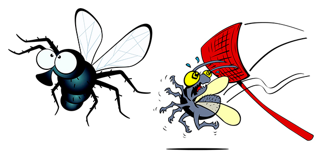 Профилактические мероприятия от мух