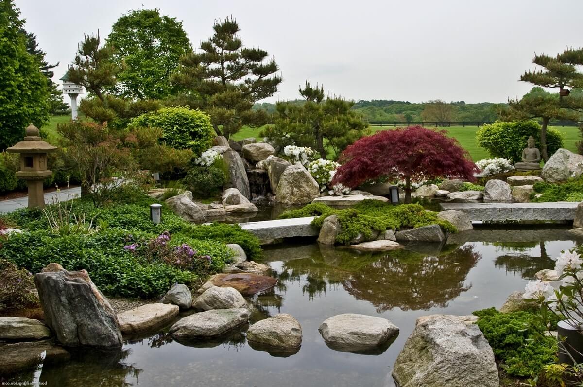 Пруд в японском саду