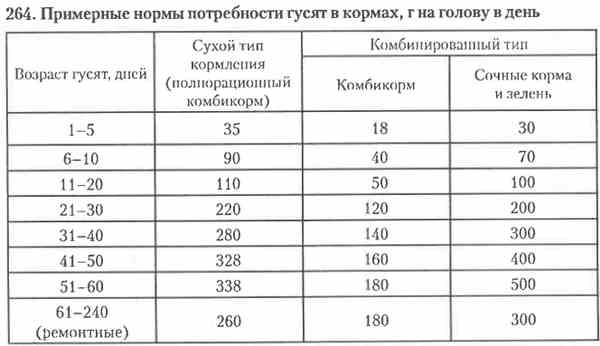 Чем можно кормить гусят. Норма корма для гусят в сутки. Нормы кормления гусей таблица. Таблица комбикорма для гусей. Нормы кормления гусят таблица.
