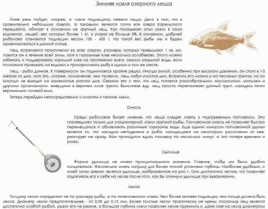 Какие запахи любит лещ зимой. Чем ловить леща зимой. Зимняя леска для ловли леща. На что ловить леща. Ловим подлещика зимой.