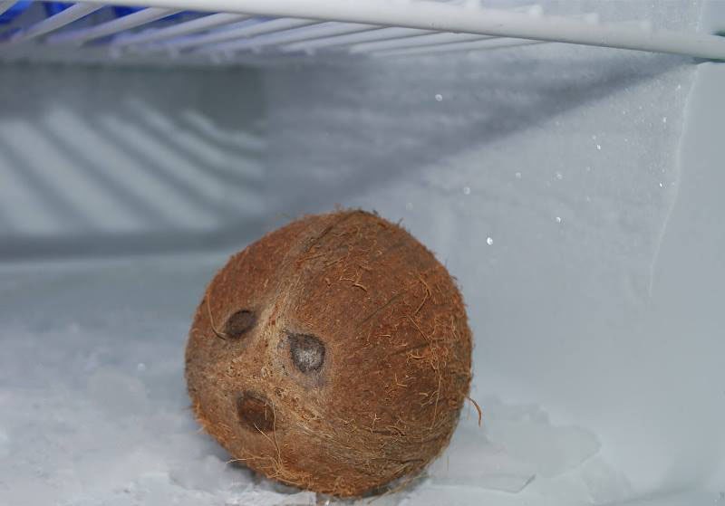 кокос в морозильнике