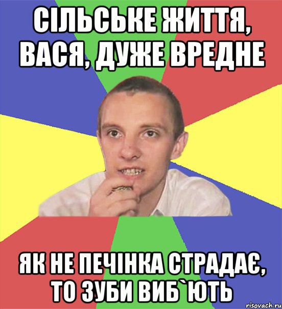 Вася мем