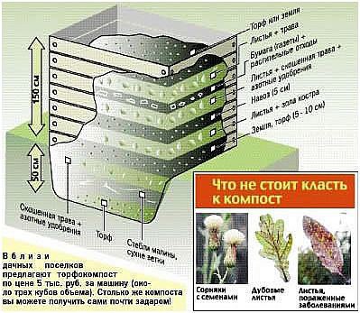 Что нельзя класть в компост скорлупа. Компостная яма схема слоев. Компост слои схема. Схема закладки компоста. Слои компостной кучи.