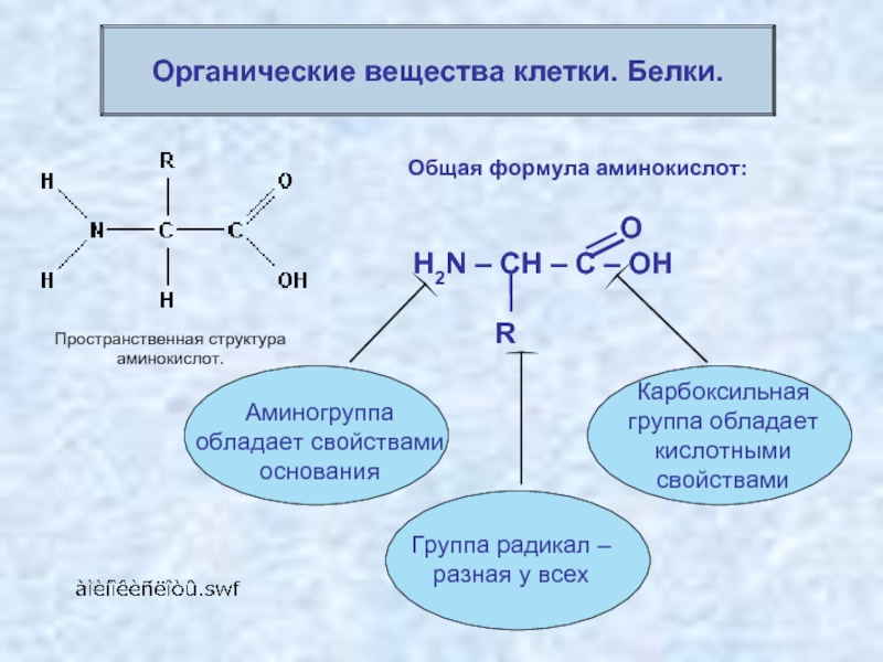 Белки вещества картинки