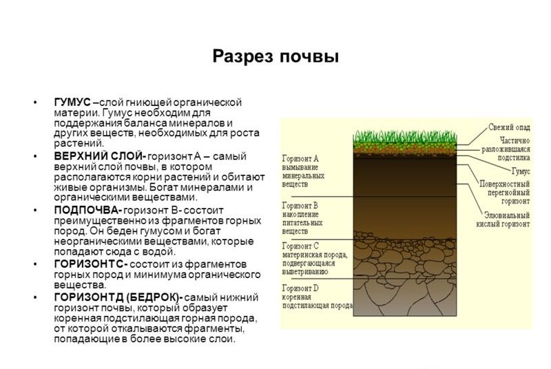 Схема слоев почвы