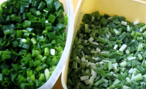 Свежий и замороженный зеленый лук