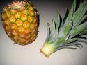 Размножение ананаса «хохолком»