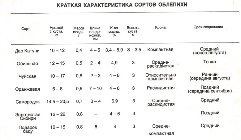 Время сорт. Сравнительная таблица сортов облепихи. Дегустационная оценка облепихи таблица. Сорта облепихи таблица. Химический состав ягод облепихи.