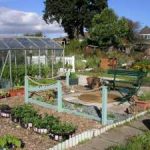 Fruit & Vegetable Growing Guide for October