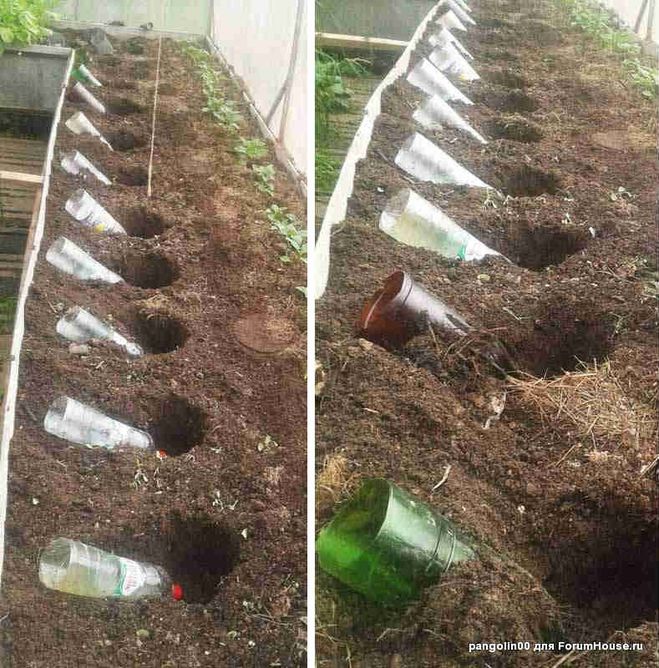 Почему хотят посадить. Чистый огород без сорняков. Рассада в пластиковых бутылках. Грядки из бутылок. Грядки с пластиковых бутылок.